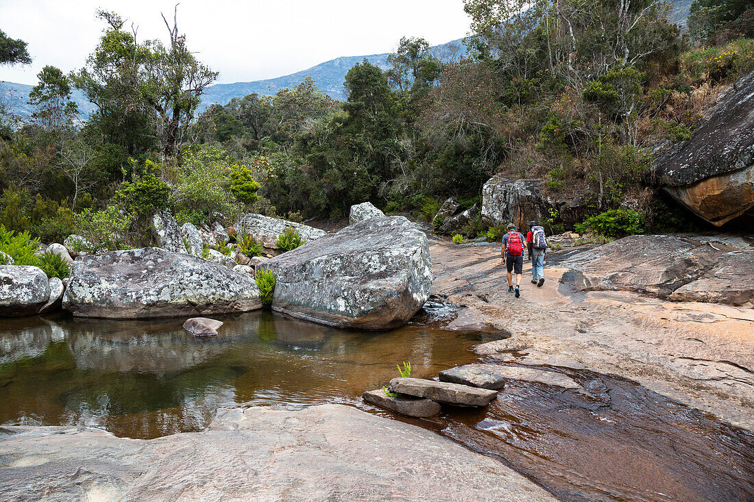 Hikers in Andringitra Mountain Range, Andringitra National Park, South Madagascar, Africa