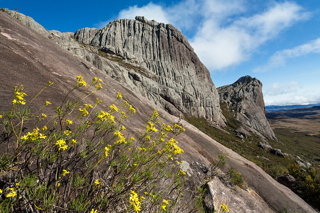 Andringitra Gebirge, Andringitra Nationalpark, Süd-Madagaskar, Afrika