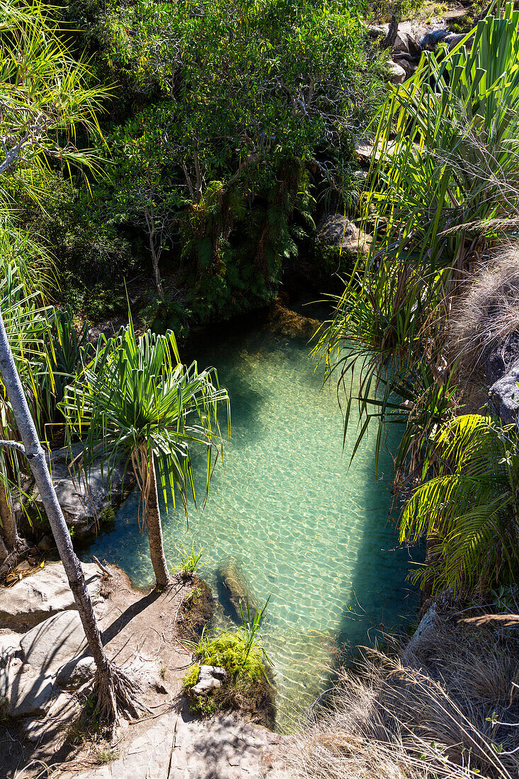 Naturschwimmbad im Isalo Nationalpark bei Ranohira, Region Ihorombe, Süd-Madagaskar, Afrika