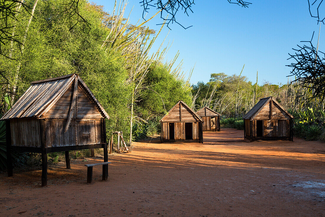 Museum village of the Antandroy tribe, Berenty Reserve, South Madagascar, Africa
