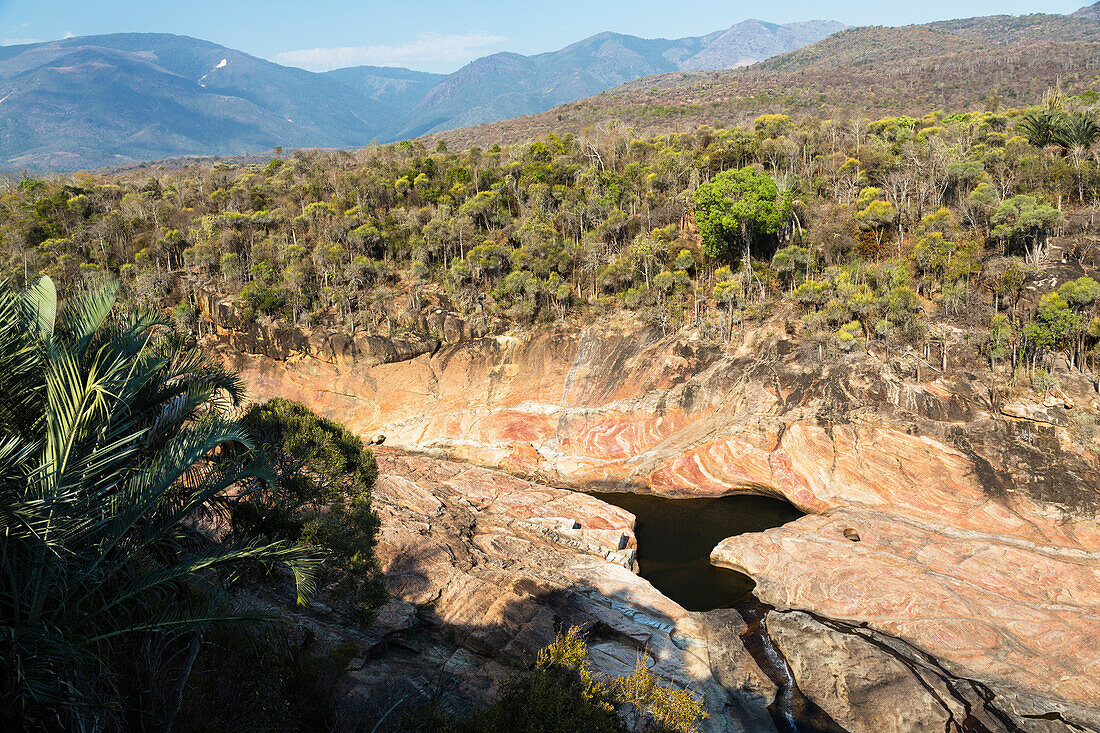 Andohahela National Park, Anosy Mountain Range, Southeast Madagascar, Africa