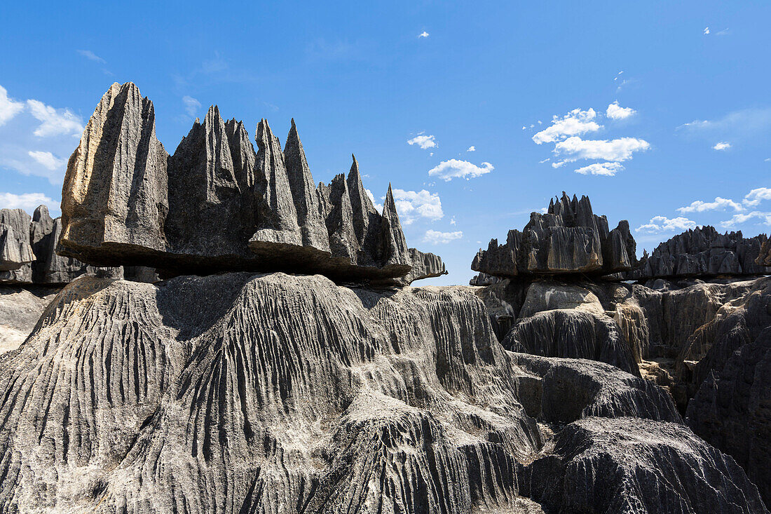 Karstlandschaft Tsingy de Bemaraha, Nationalpark Tsingy-de-Bemaraha, Mahajanga, Madagaskar, Afrika