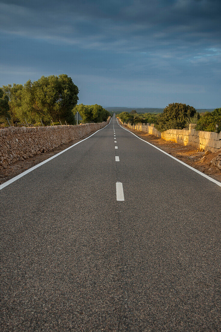 Landstraße bei Manacor, Mallorca, Spanien