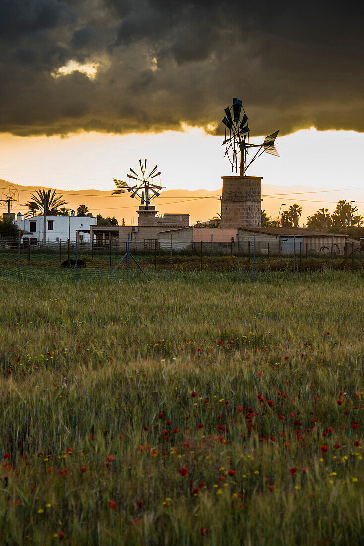 Old windmills, Sant Jordi, near Palma de Mallorca, Majorca, Spain