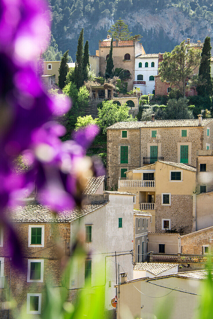 Estellencs, Mallorca, Spanien