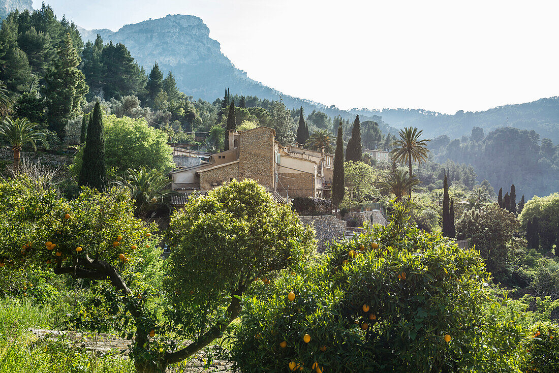 Deià, Mallorca, Spanien