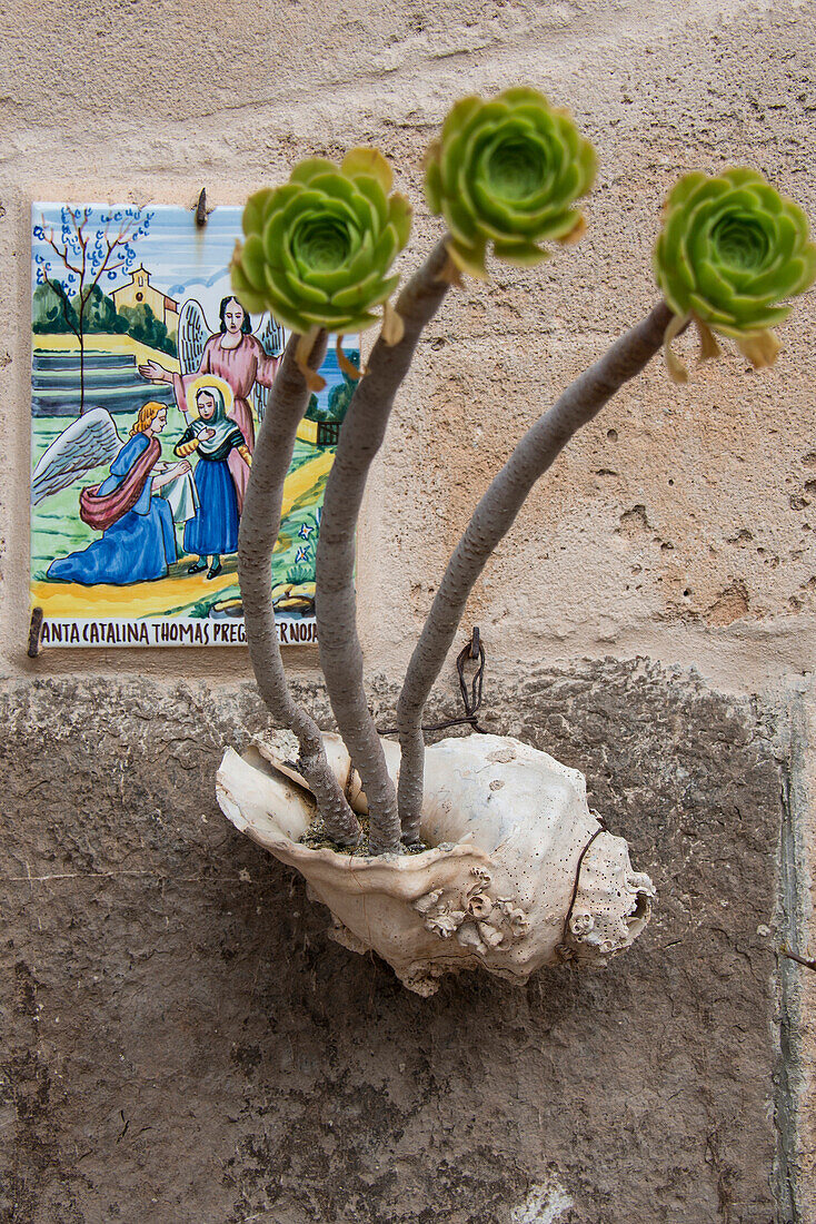 Flower pot and religious picture, Valdemossa, Majorca, Spain