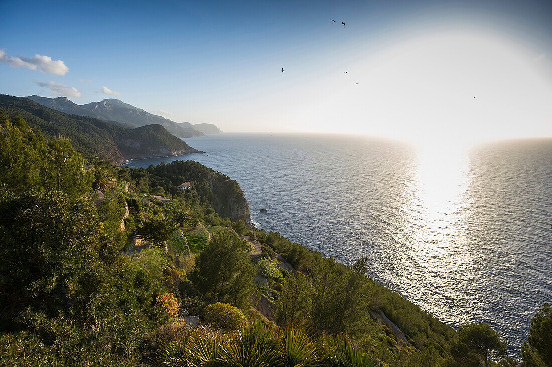 Coastline near Banyalbufar, Majorca, Spain