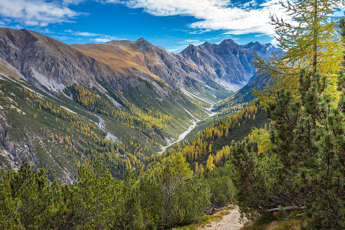 Blick über Val Cluozza im Herbst, Schweizerischer Nationalpark, Kanton Graubünden, Schweiz