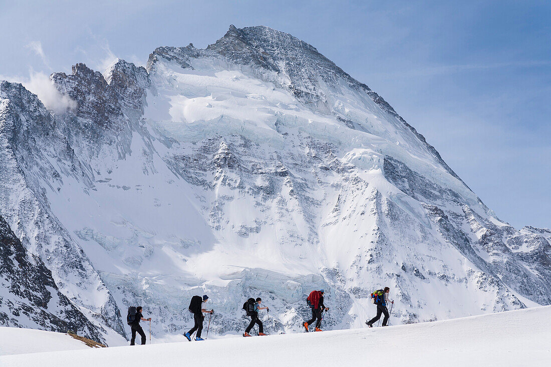 Group of skier ascending, Zermatt, Dent d Herens in background, Zermatt, Canton of Valais, Switzerland