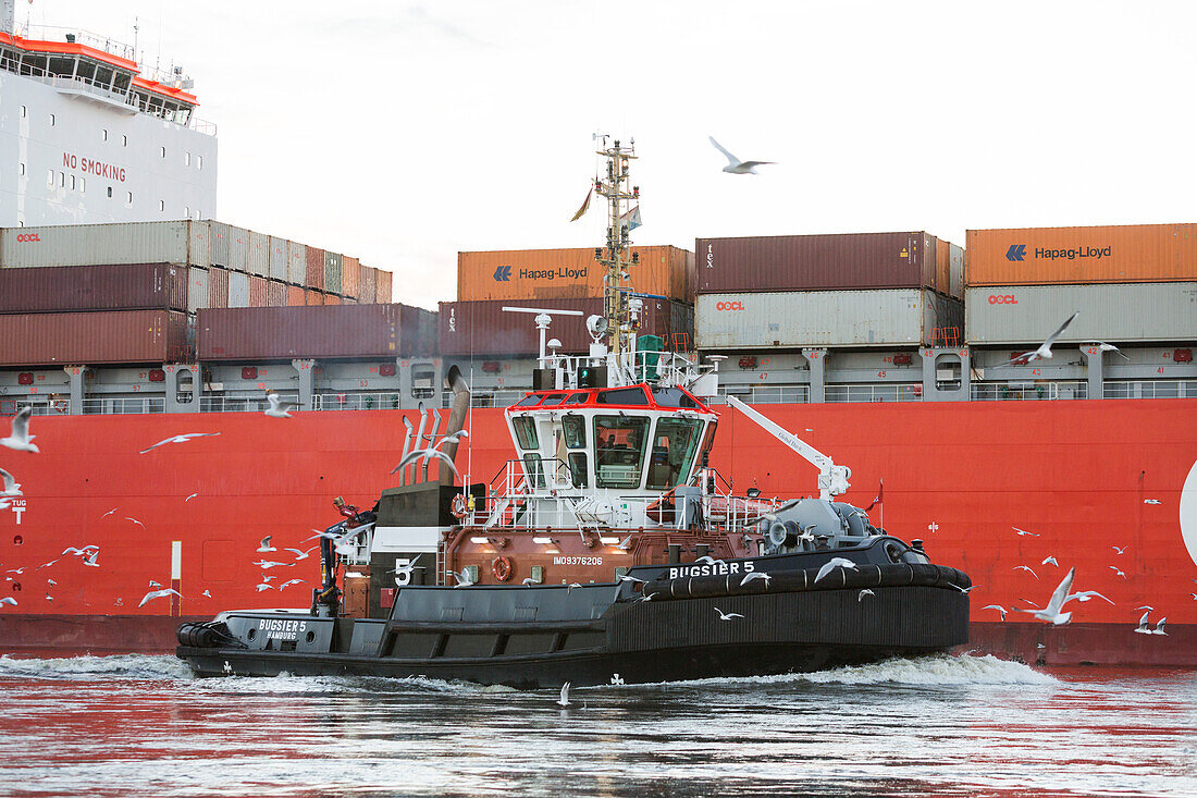Schlepper vor einem Containerschiff, Altenwerder, Hamburg, Deutschland