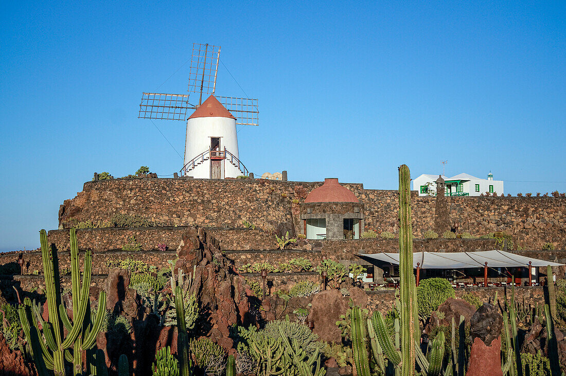 Jardin de Cactus, Cactus Garden, Guatiza, Lanzarote, Canary Islands, Spain