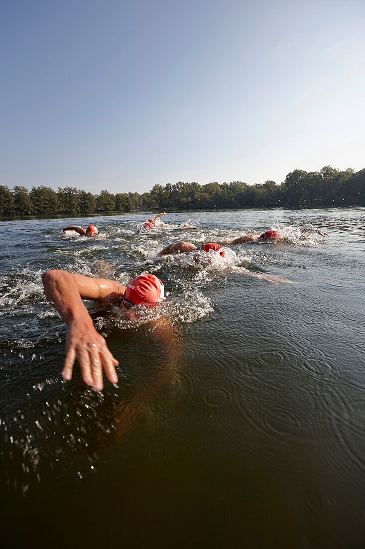 Leistungsschwimmer trainieren im Freiwasser, Boberger Badesee, Billwerder, Hamburg, Deutschland