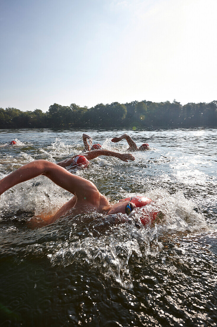 Competitive swimmers training in open water, Boberg swimming lake, Billwerder, Hamburg, Germany