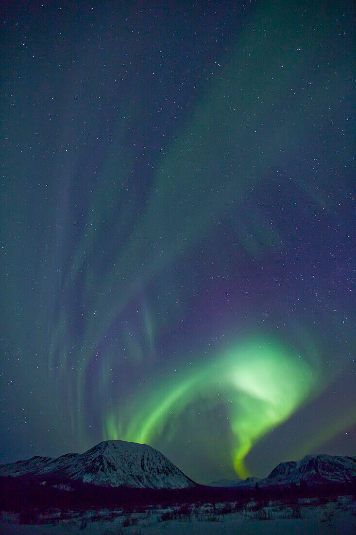 Aurora borealis (northern lights) in the Yukon, Canada