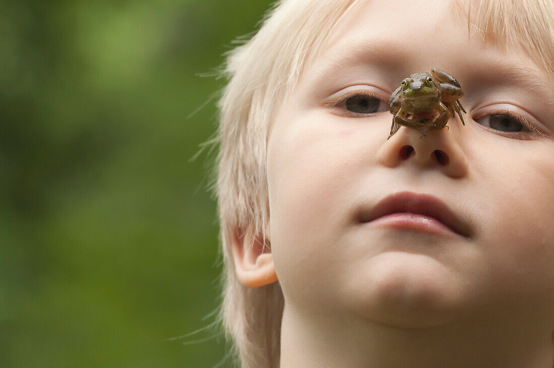 Little boy with frog on his nose, Ontario, Canada