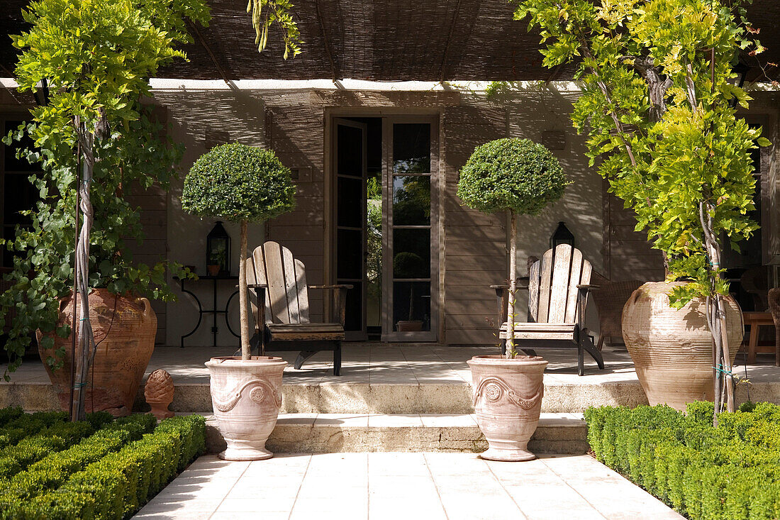 France, Provence - Alps- Côte d'Azur, Southern France, Anduze, Provencal House Terrace with boxwood trees