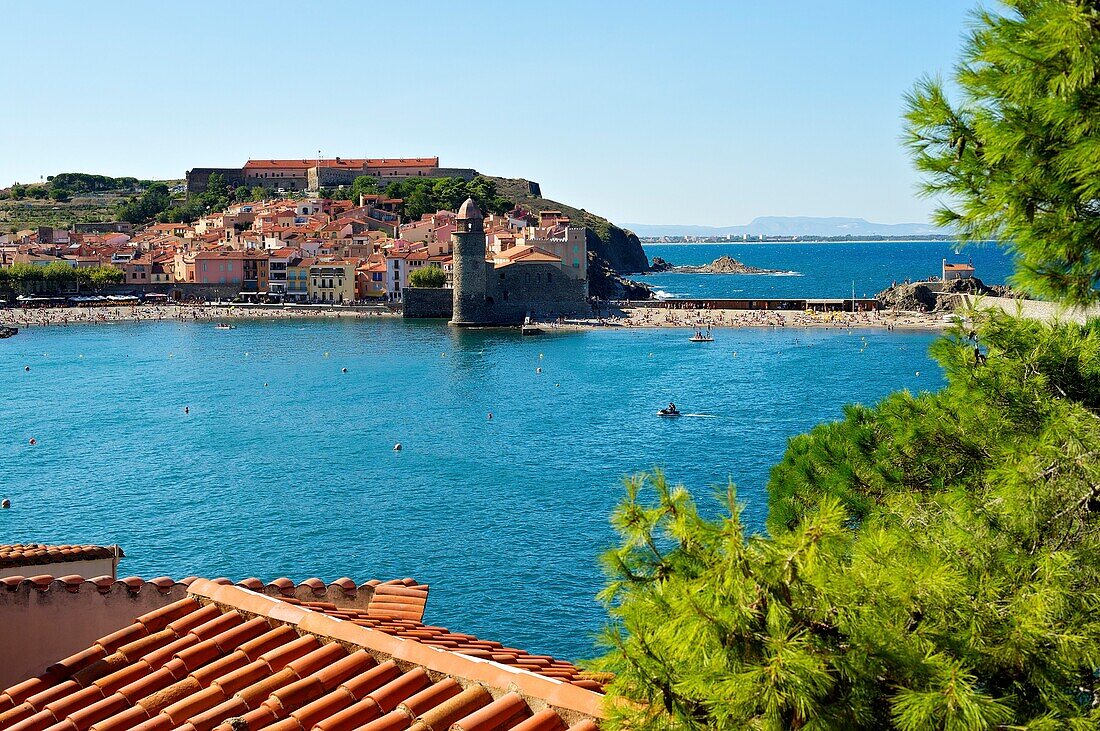 France, Lanquedoc Roussillon, Collioure, the port