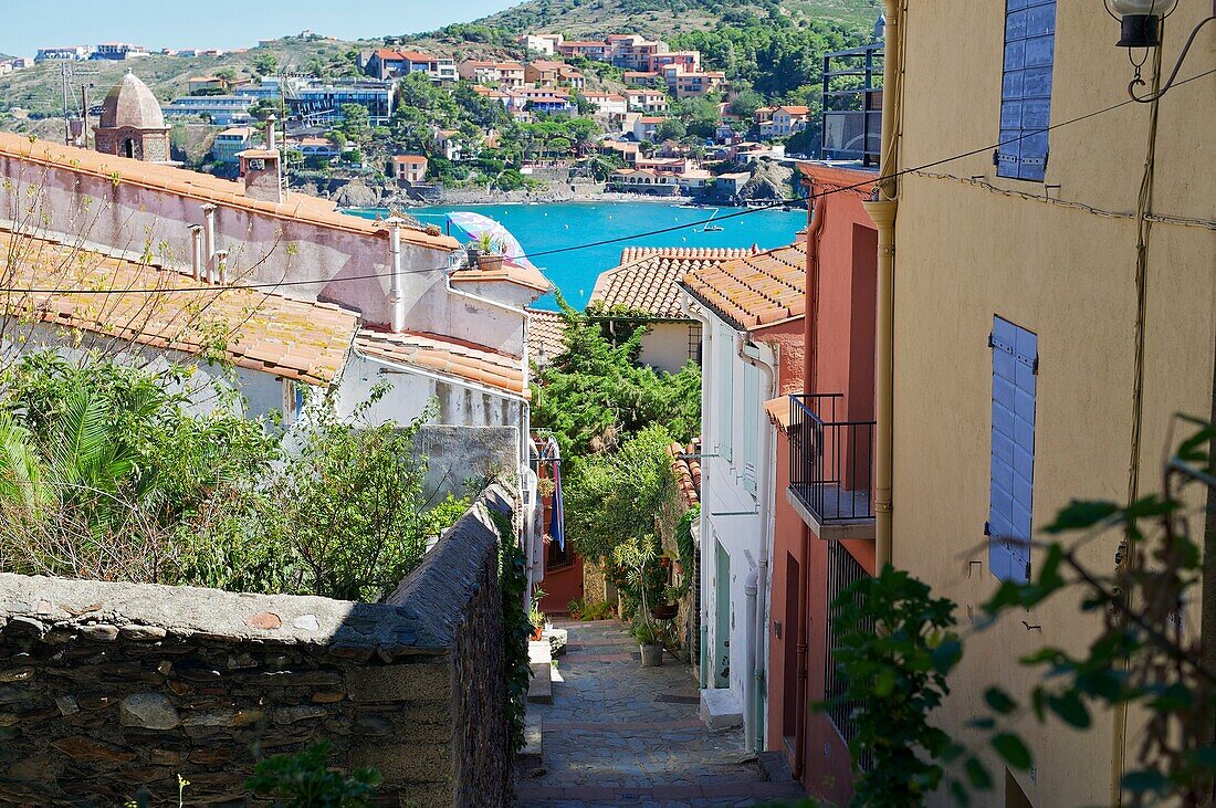 France, Lanquedoc Roussillon, Collioure, narrow street