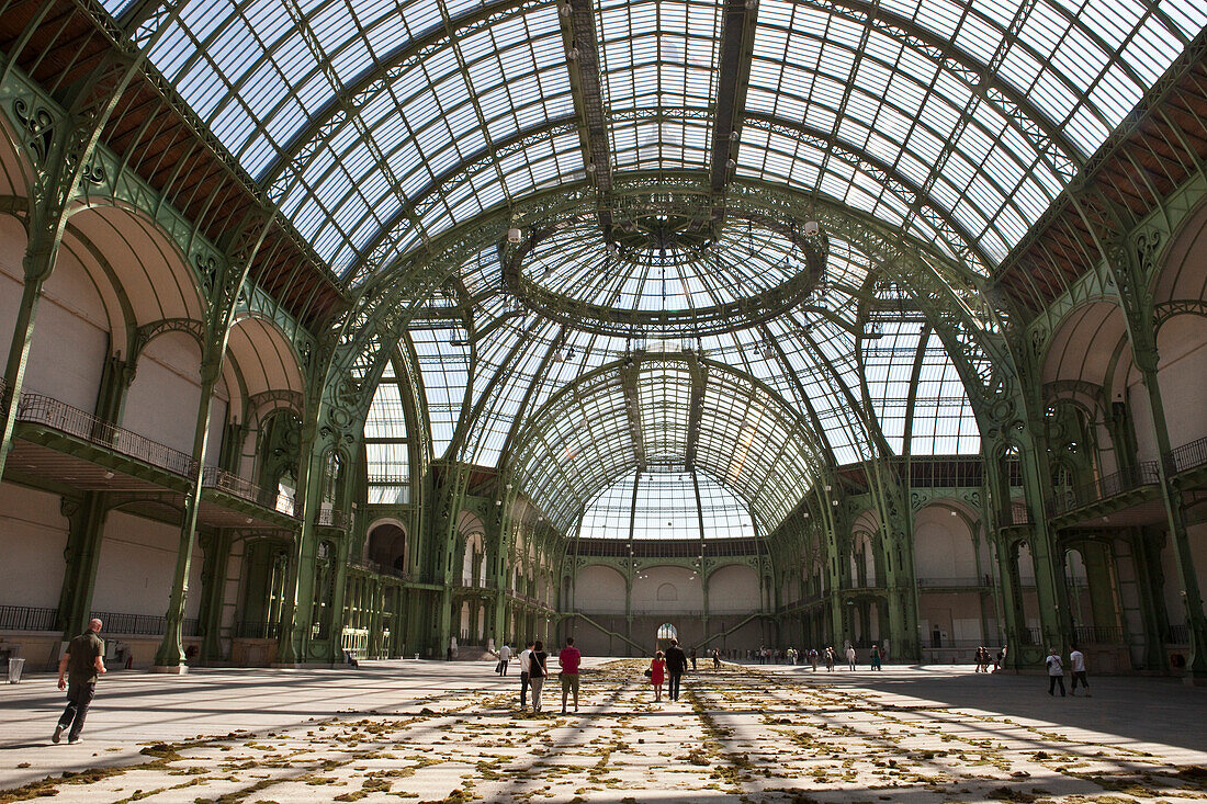 'France, Paris, 8th arrt, Grand Palais des Champs-Elysées, glass vault and structure made of iron and light steel framing, Gad Weil Nature Capital group project: ''Free will Theorem'', labyrinth made with moss'