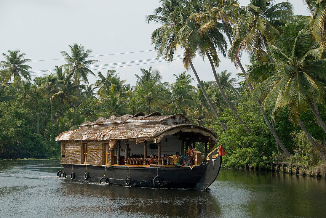 Republic of India, Kerala State, Hotel Boat, Palm trees