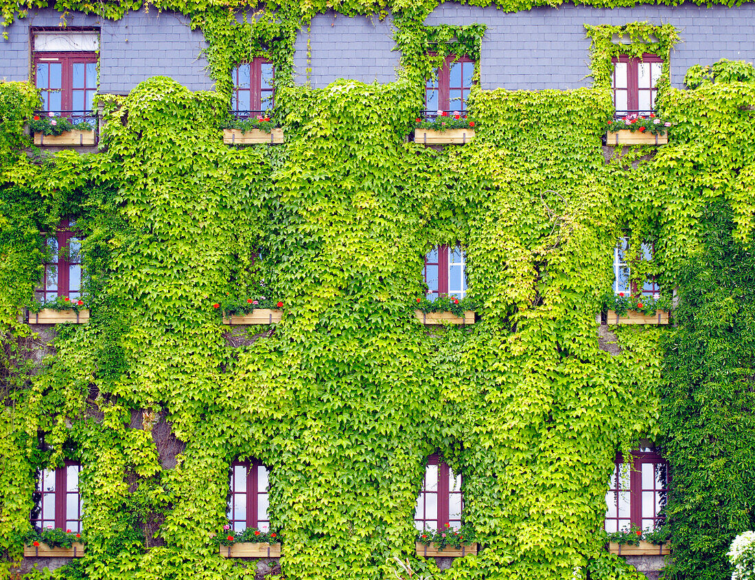 France, Brittany, Morbihan, Rochefort en Terre, center window of a building in the disappearing plants