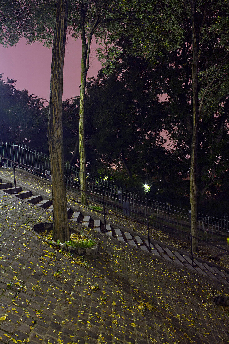 France, Paris, town, Montmartre, stairs at night.