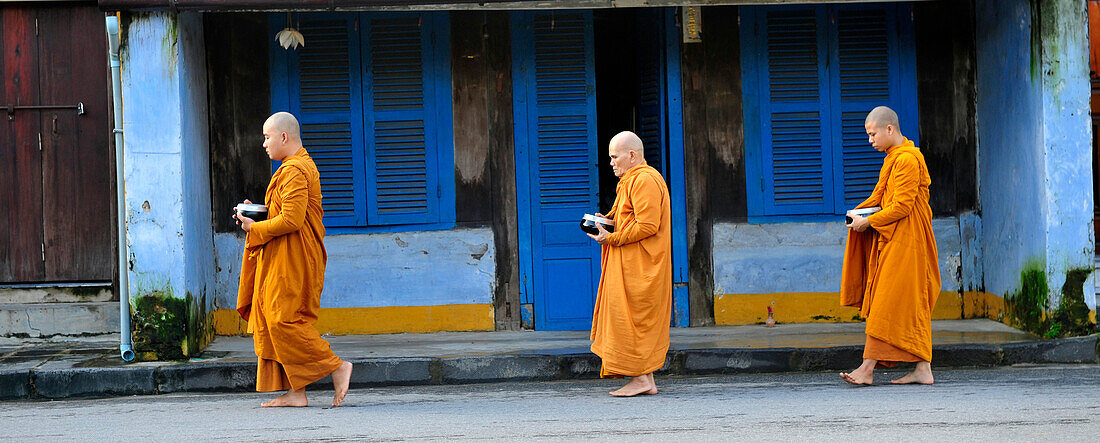 A group of monks are walking in a street of Hoi An to receive the food offering, Vietnam, South East Asia, Asia