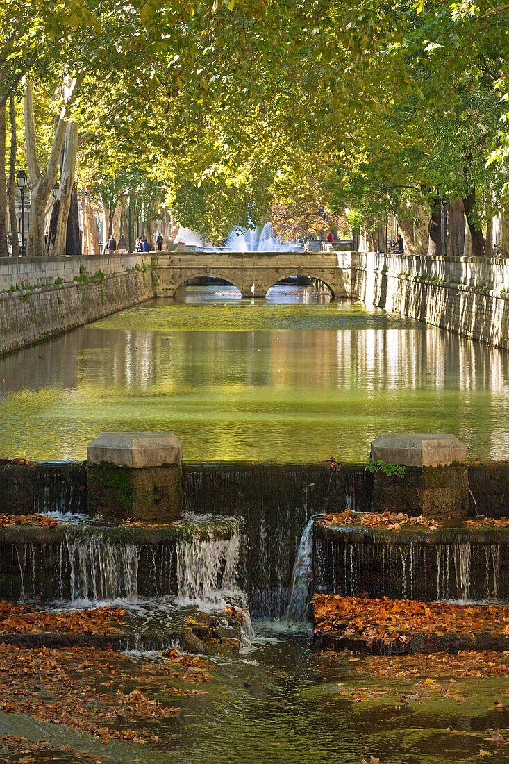 France, Gard (30), Nimes, Les Jardins de la Fontaine, the channel with the water jet in autumn