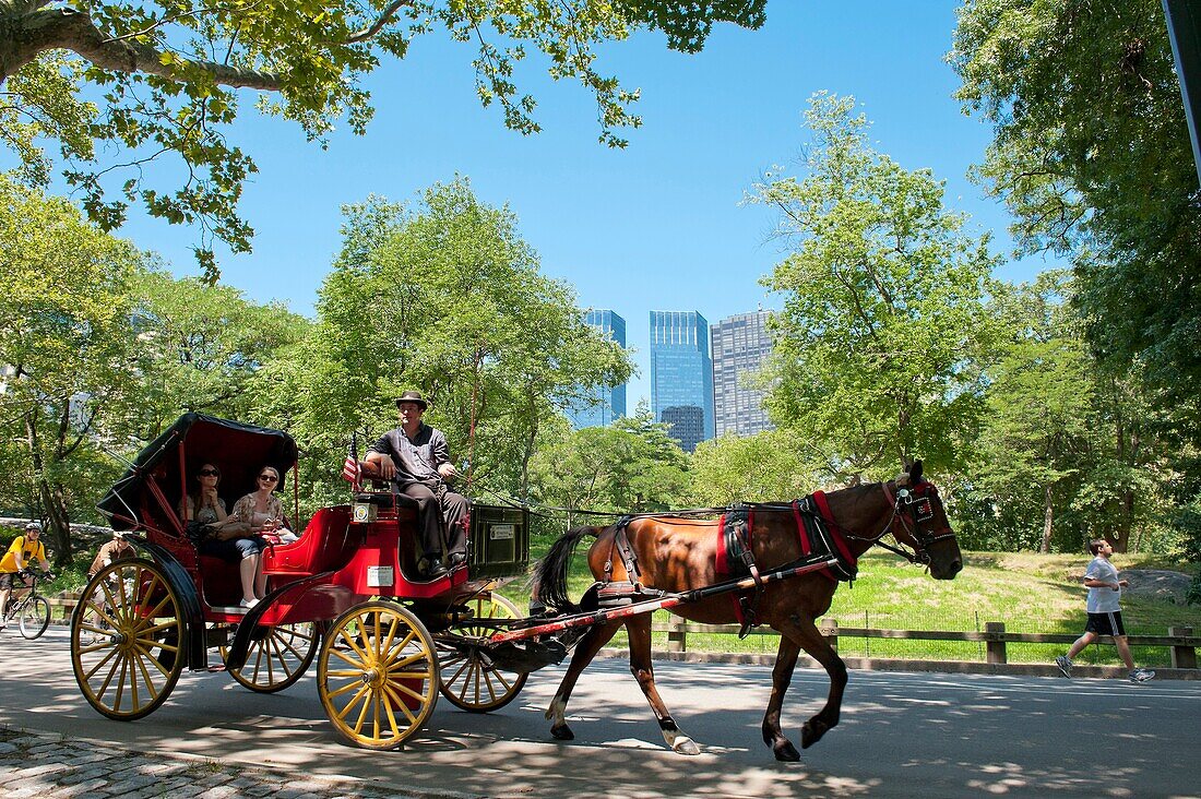 New York - Manhattan - Carriage in Central Park