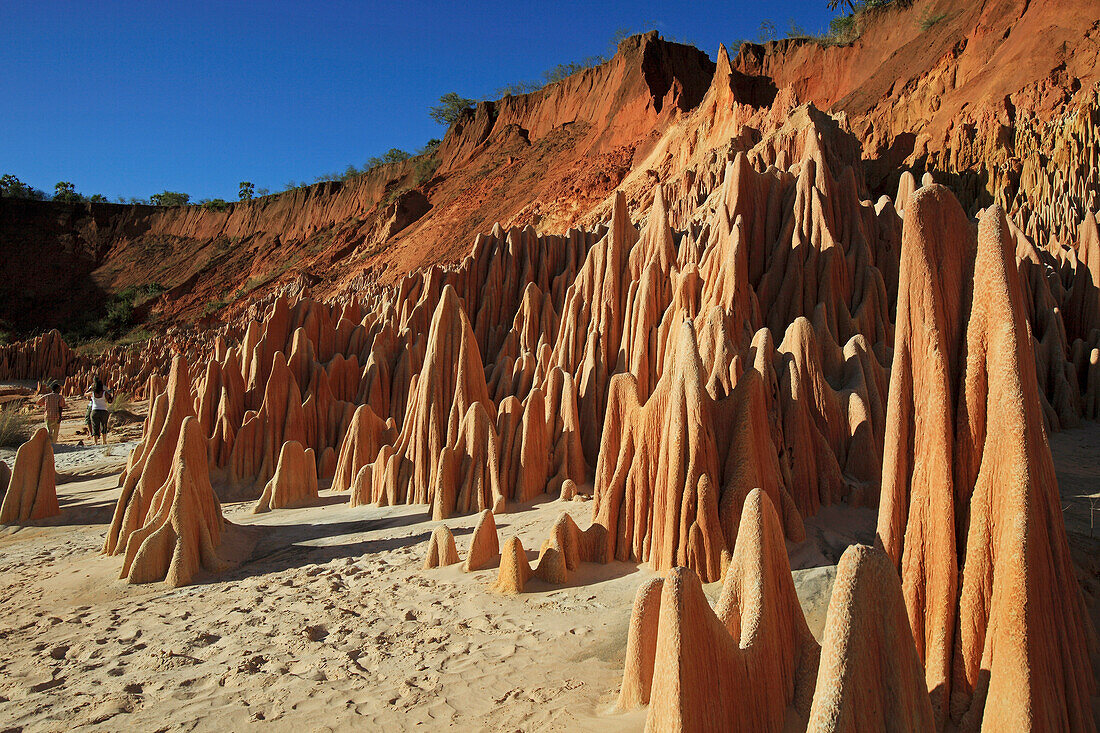 Republic of Madagascar, Diana Region, Analamerana Reserve - Red karst limestone formations