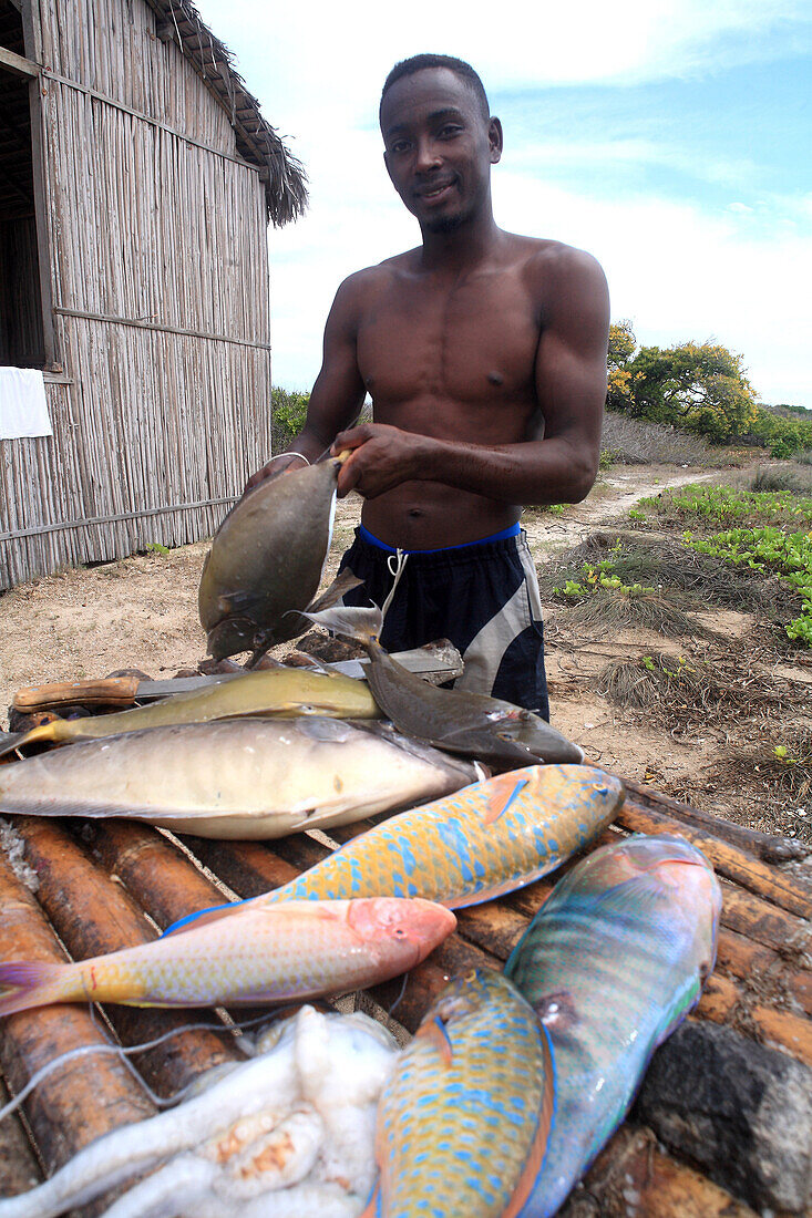 Republic of Madagascar, Diana Region, Diego Suarez Bay, Fisherman disemboweling fishes