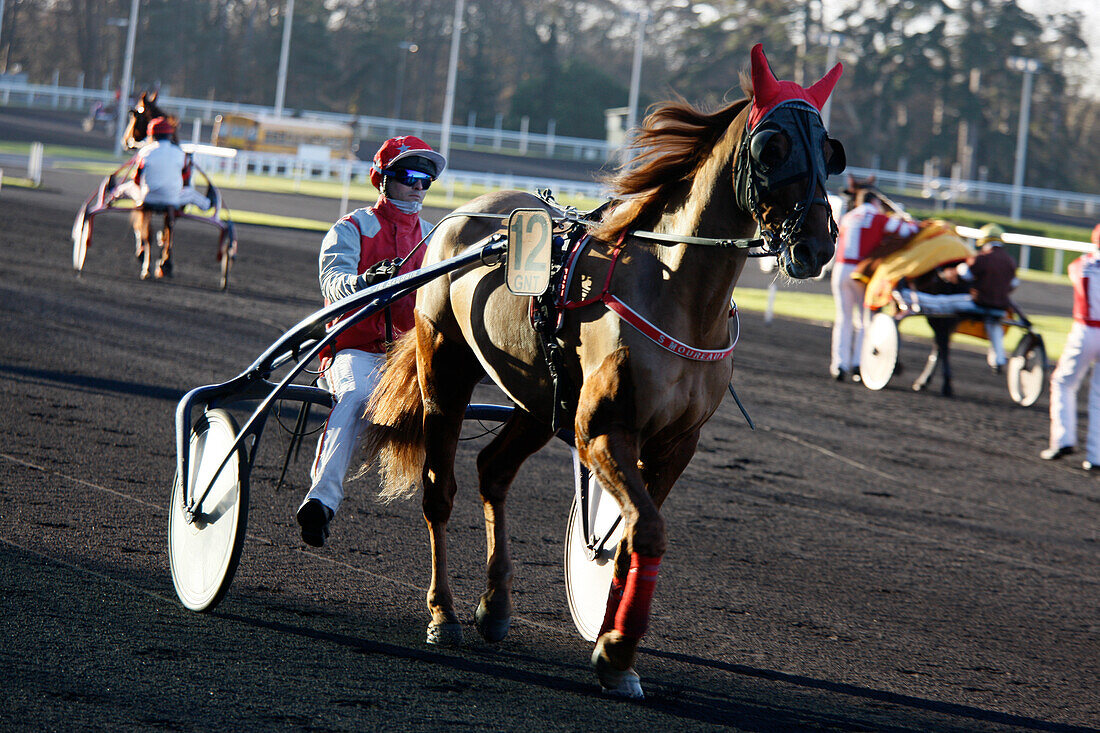France. Paris. Vincennes. Hippodrome de Vincennes. Horse trotting to heat. Horse: Prince du Verger. Jockey: E. Raffin.