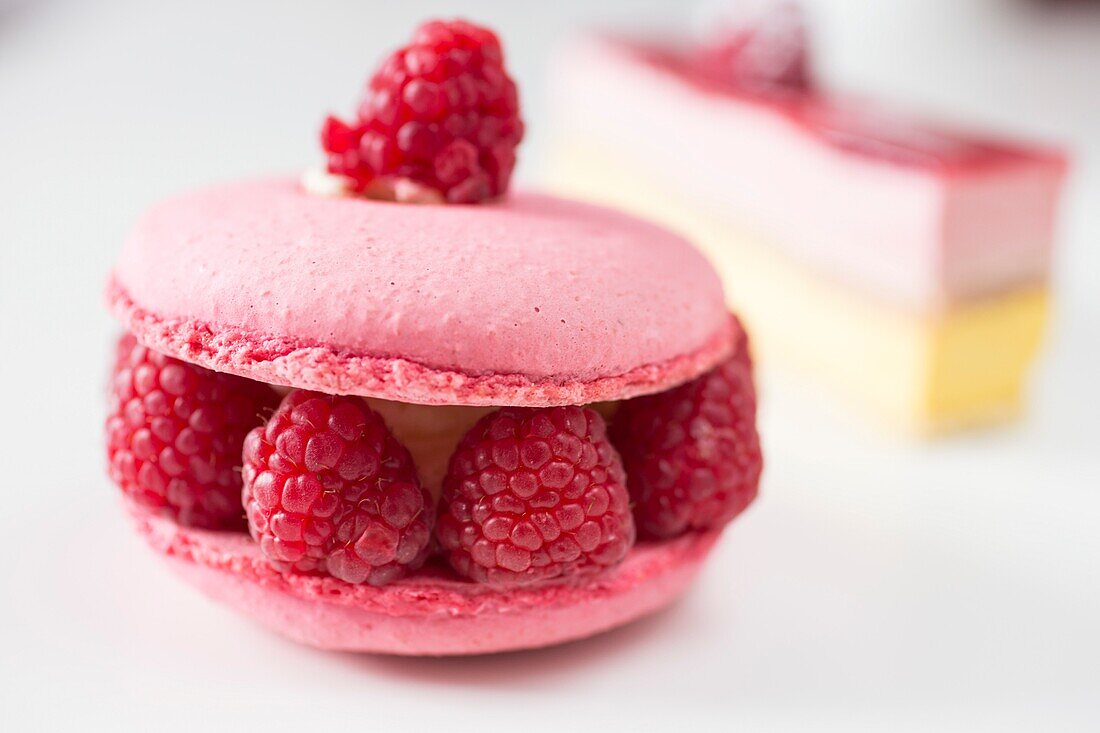 France, Paris, Pastry cooking, Close up of a raspberry macaroon