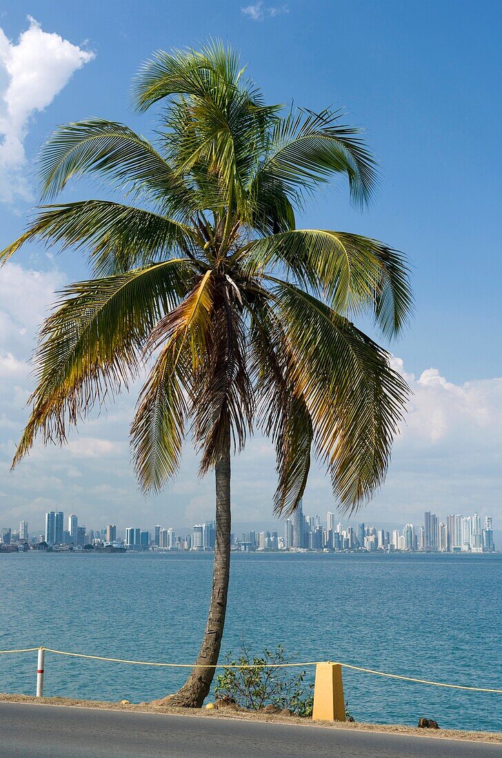 BAY SKYLINE PALMS AMADOR CAUSEWAY PANAMA CITY REPUBLIC OF PANAMA