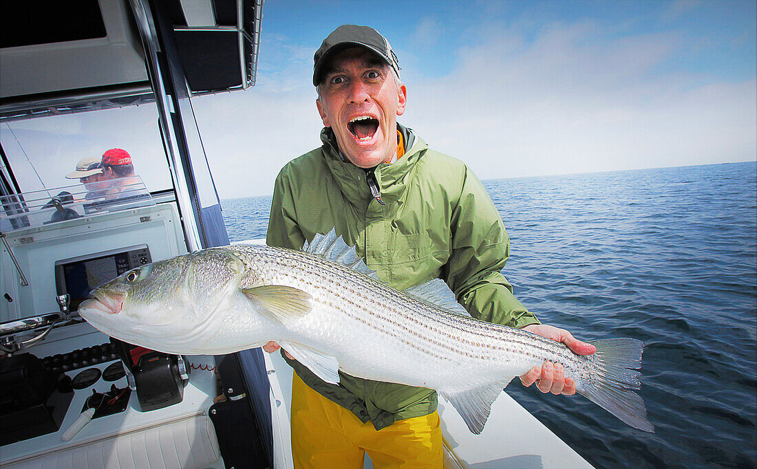 Excited man holding a striped bass, cape cod massachusetts usa