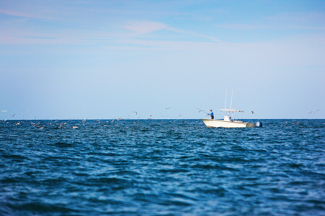 Fly fishing off a boat, montauk new york usa