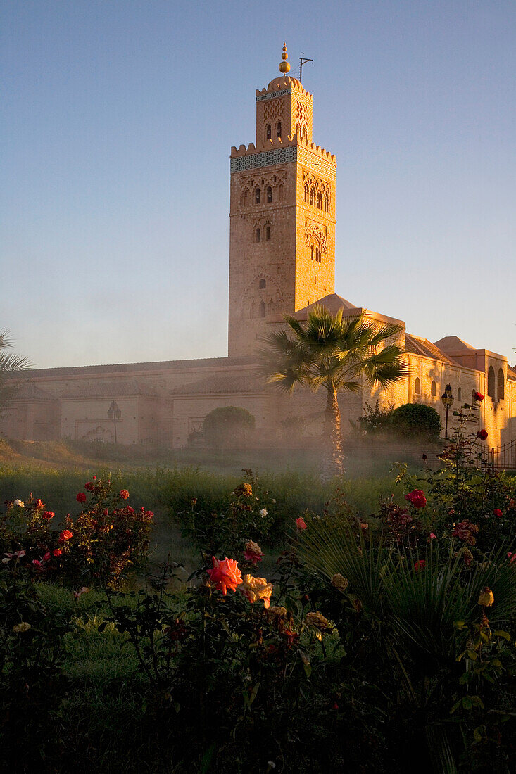 Mist Rising From Rose Gardens By Minaret Of Koutoubia Mosque At Dawn, Marrakesh,Morocco