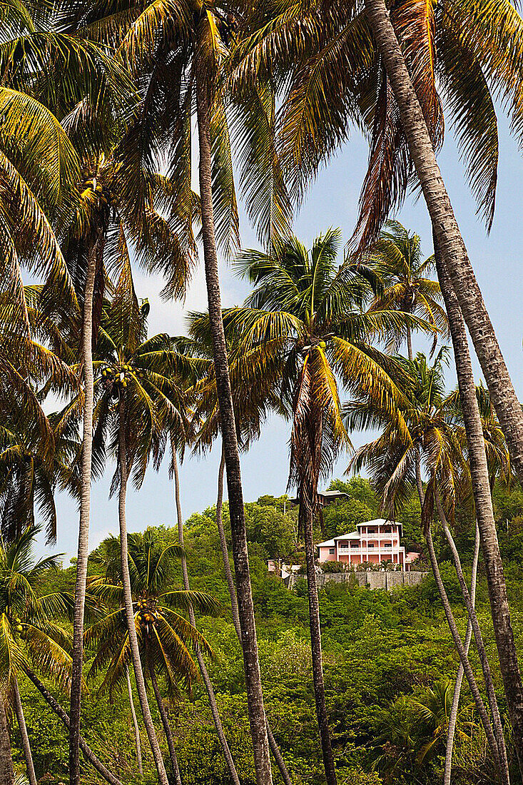 St  Vincent and the Grenadines, Bequia, Industry Bay, house