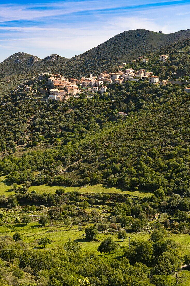 France, Corsica, Haute-Corse Department, La Balagne Region, Belgodere, elevated town view
