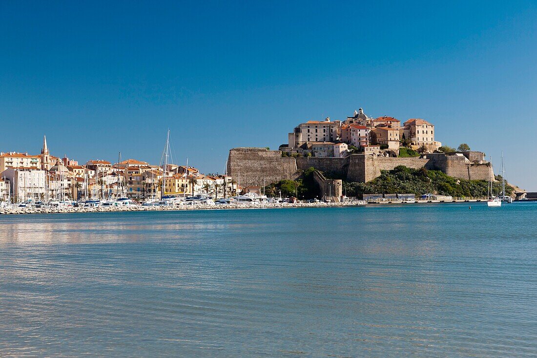 France, Corsica, Haute-Corse Department, La Balagne Region, Calvi, Port de Plaissance yacht harbor, with view of the Citadel from the Golfe de Calvi gulf
