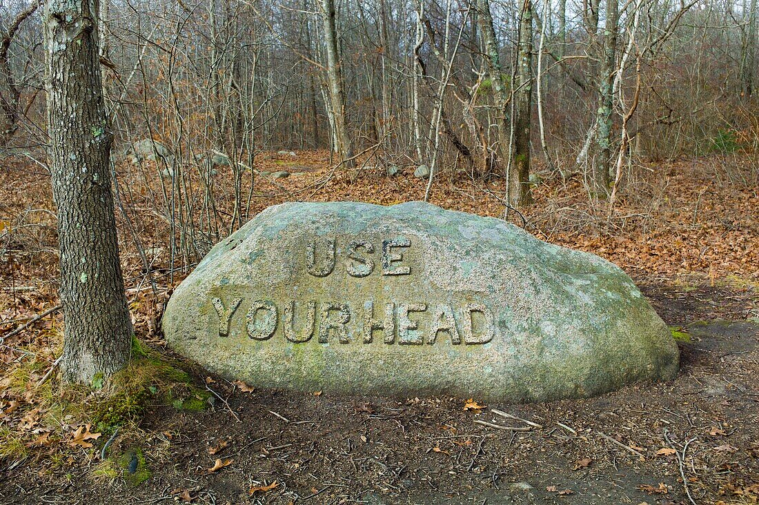 USA, Massachusetts, Gloucester, Dogtown rocks with inspirational words, Use Your Head