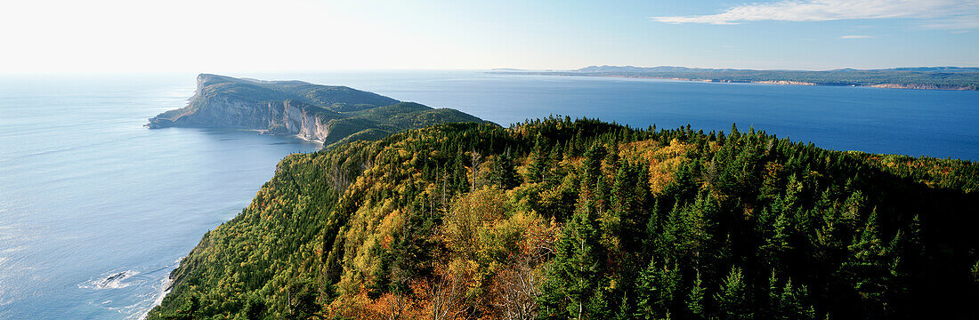 Cap-Bon-Ami, Forillon National Park, Gaspe Peninsula, Quebec.