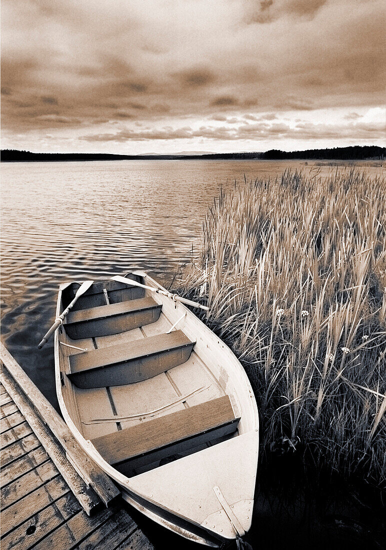 Boat and Reeds, Burntstick Lake, Alberta, Canada