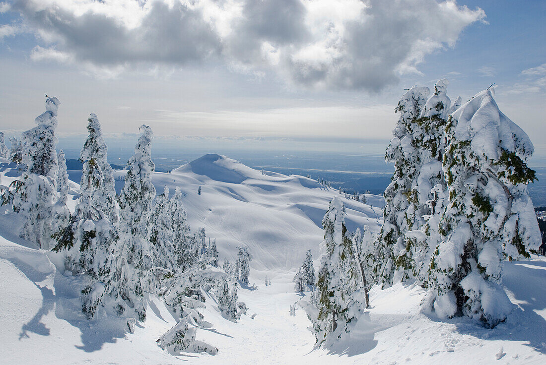 View of First Pump Peak from Mount Seymour, Mount Seymour Provincial Park, Vancouver, British Columbia