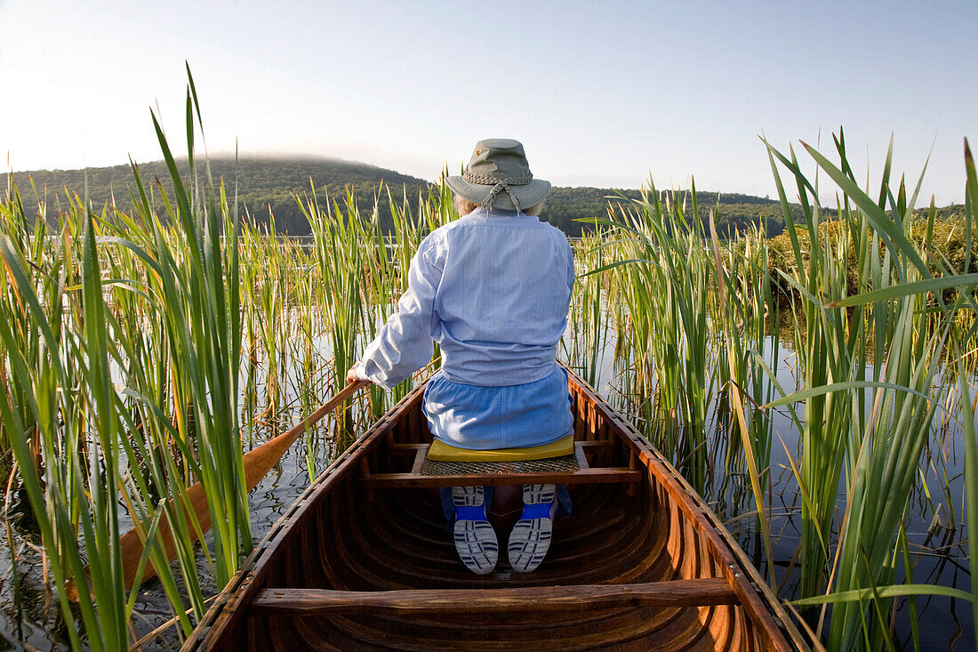 Woman paddling canoe through reeds, Smoke Lake, Algonquin Park, Ontario