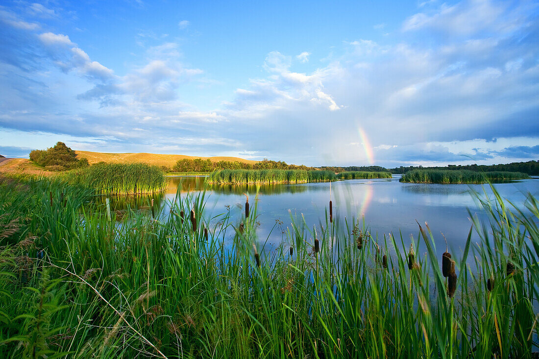 Rainbow over wetland marsh, Pembina Valley, Manitoba