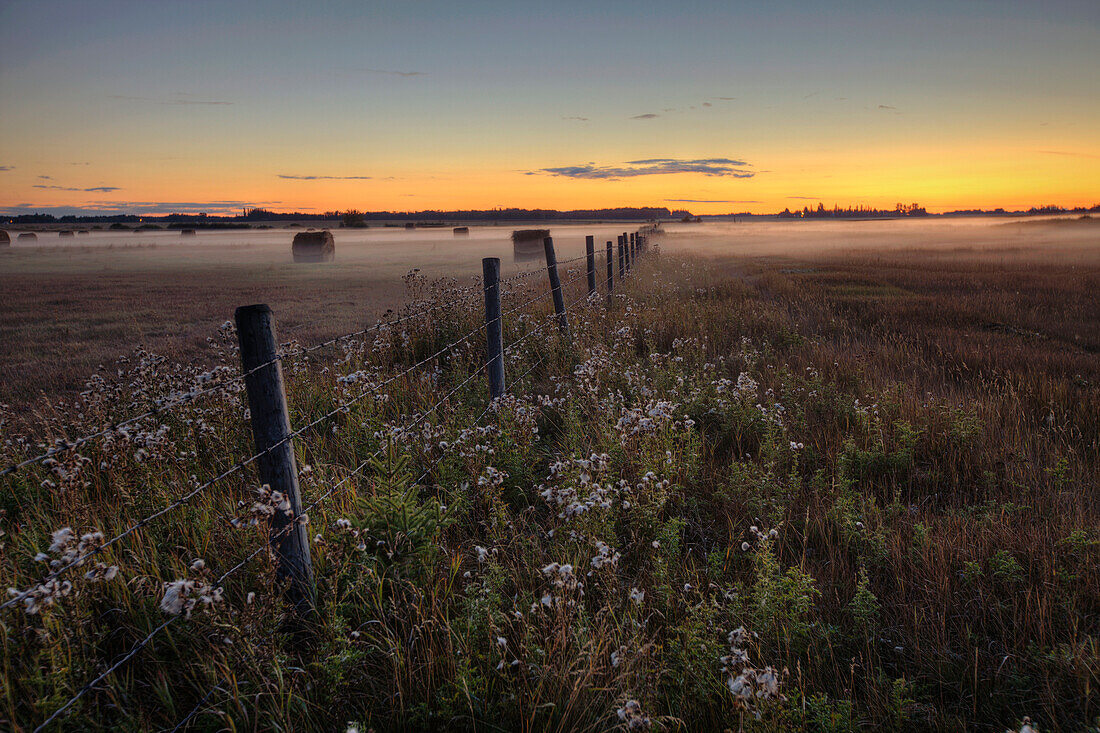 Summer sunset over mist-covered pasture, central Alberta