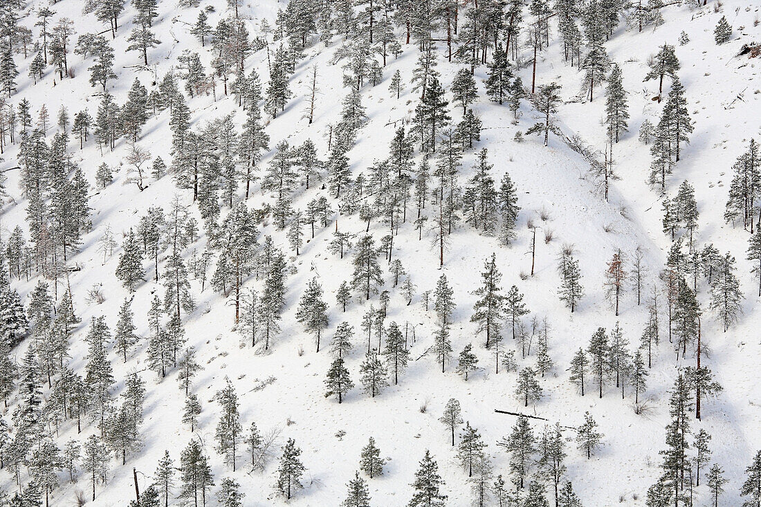 Winter scenic of mountain ridges above Thompson river, near Spences Bridge, British Columbia