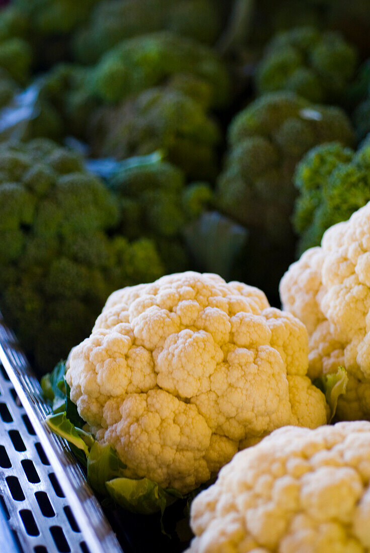 Cauliflower and Broccoli, Lincoln Gardens, Lumsden, Saskatchewan